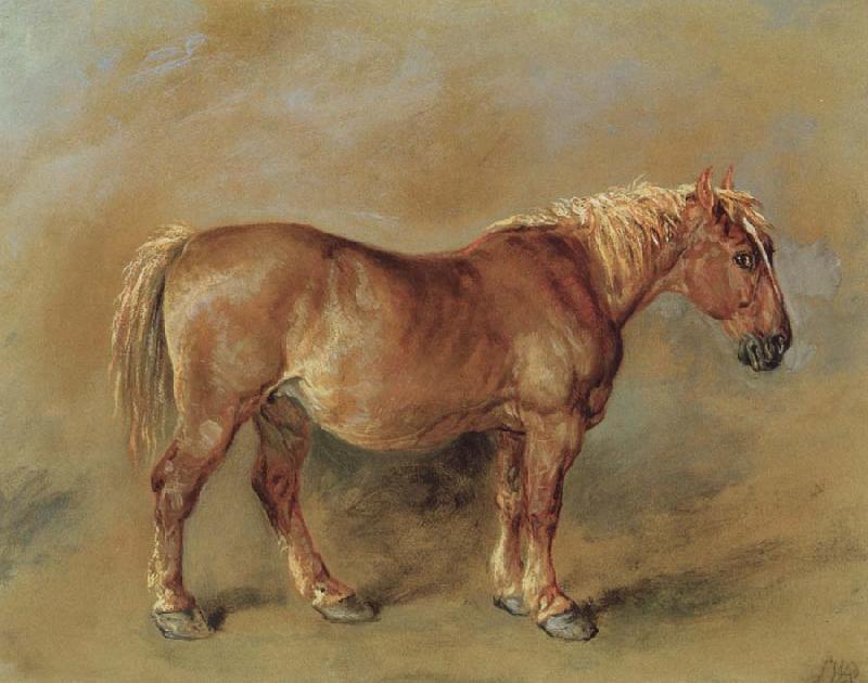 James Ward A Suffolk Punch oil painting image